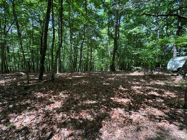 154 Chill Lane Blairsville GA 30512