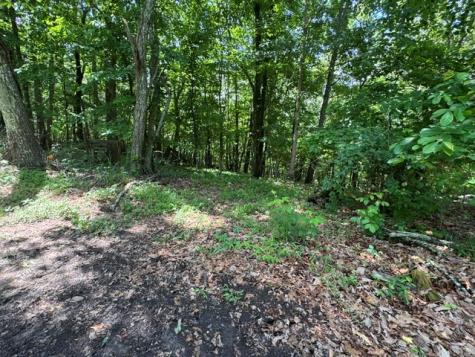 154 Chill Lane Blairsville GA 30512
