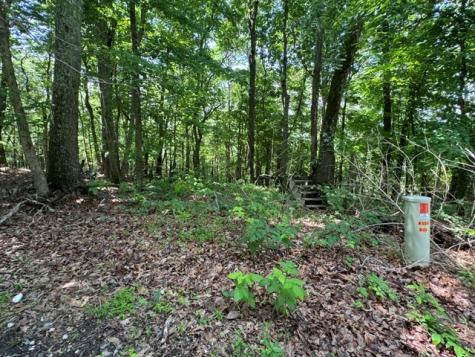 154 Chill Lane Blairsville GA 30512