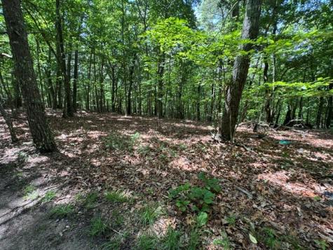 154 Chill Lane Blairsville GA 30512