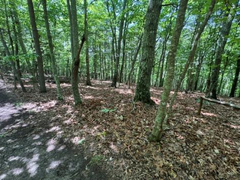 154 Chill Lane Blairsville GA 30512