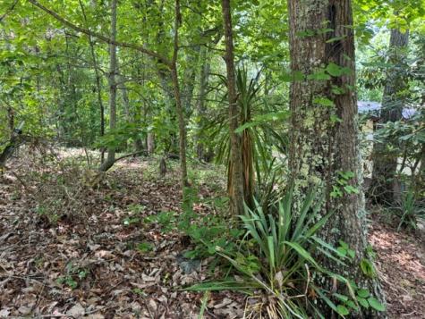 154 Chill Lane Blairsville GA 30512