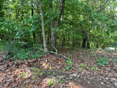 154 Chill Lane Blairsville GA 30512