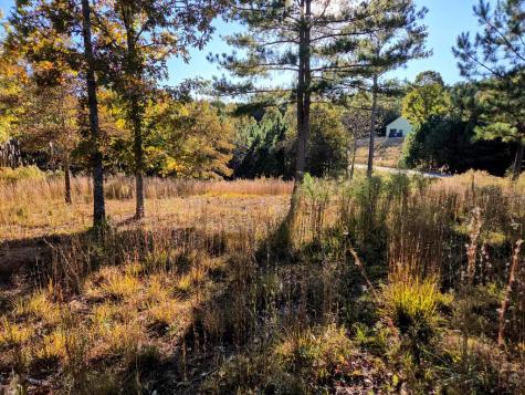 Lot 25 Water Oak Lane Blairsville GA 30512