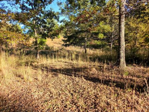 Lot 25 Water Oak Lane Blairsville GA 30512