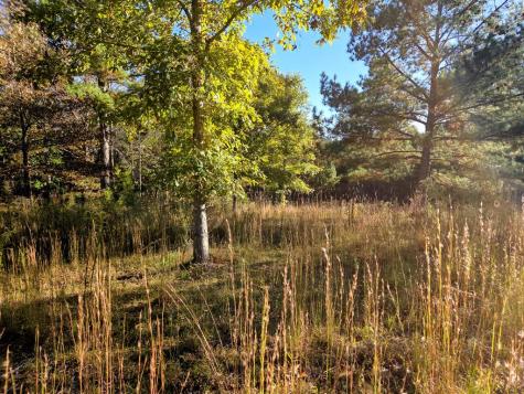Lot 25 Water Oak Lane Blairsville GA 30512