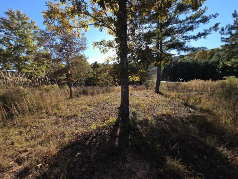 Lot 25 Water Oak Lane Blairsville GA 30512