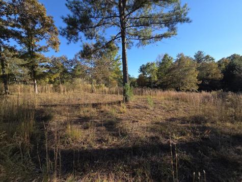Lot 25 Water Oak Lane Blairsville GA 30512