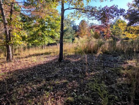 Lot 25 Water Oak Lane Blairsville GA 30512
