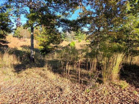 Lot 25 Water Oak Lane Blairsville GA 30512
