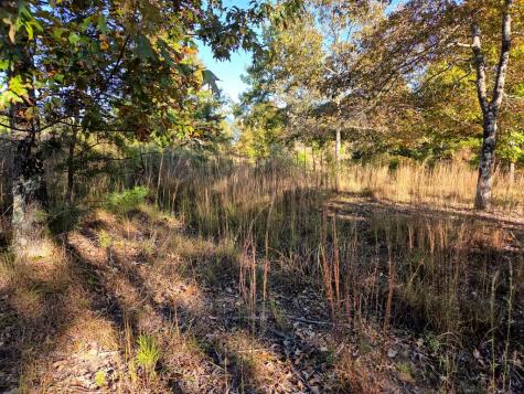Lot 25 Water Oak Lane Blairsville GA 30512