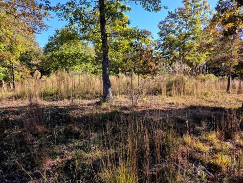 Lot 25 Water Oak Lane Blairsville GA 30512