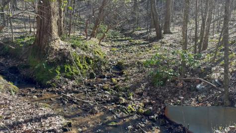 65 Street Andrews Way Ellijay GA 30536