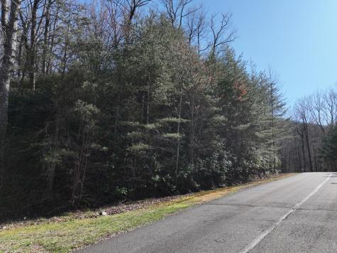 65 Street Andrews Way Ellijay GA 30536