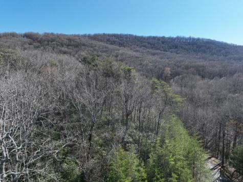 65 Street Andrews Way Ellijay GA 30536