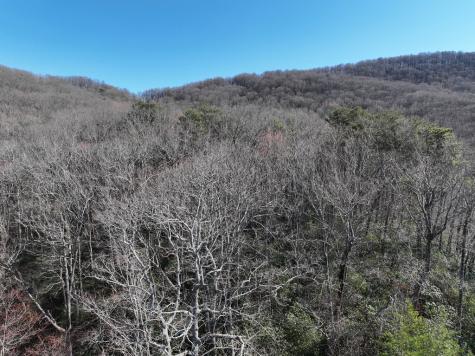 65 Street Andrews Way Ellijay GA 30536