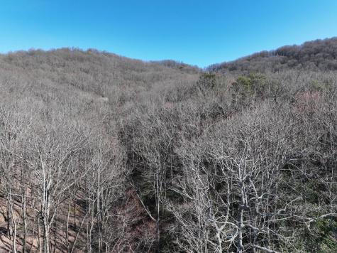 65 Street Andrews Way Ellijay GA 30536