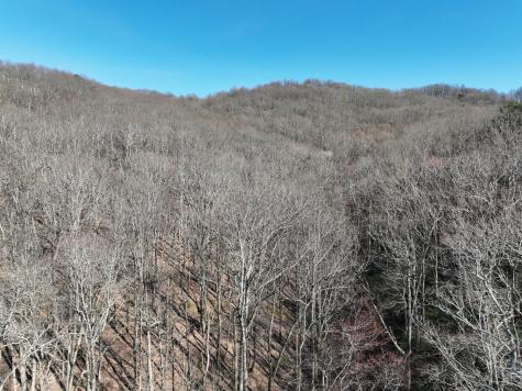 65 Street Andrews Way Ellijay GA 30536