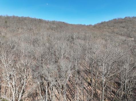 65 Street Andrews Way Ellijay GA 30536