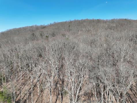 65 Street Andrews Way Ellijay GA 30536