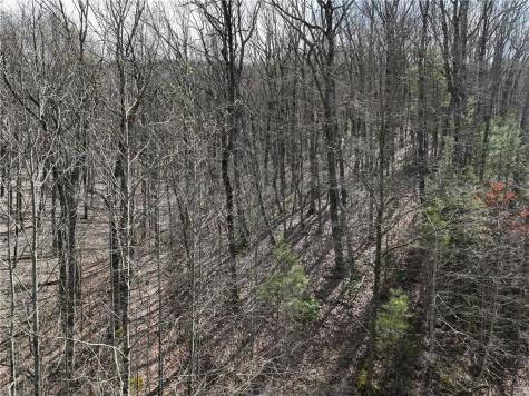 65 Street Andrews Way Ellijay GA 30536