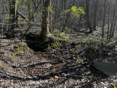 65 Street Andrews Way Ellijay GA 30536