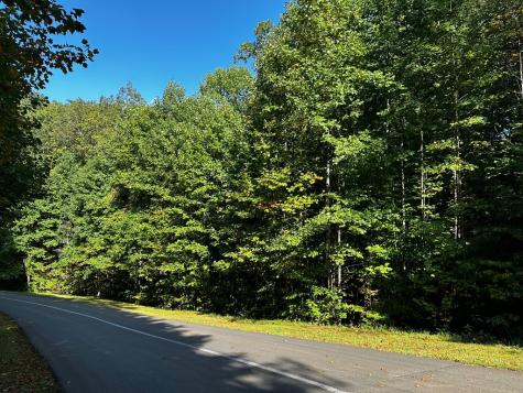 65 Street Andrews Way Ellijay GA 30536