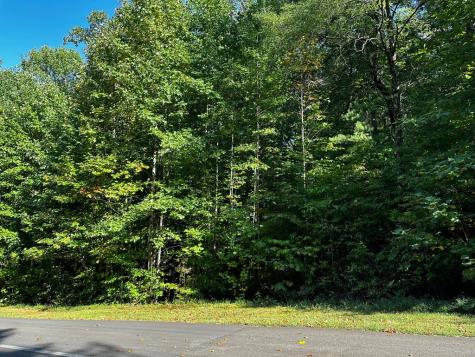 65 Street Andrews Way Ellijay GA 30536