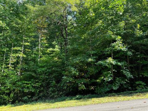 65 Street Andrews Way Ellijay GA 30536