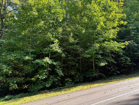 65 Street Andrews Way Ellijay GA 30536