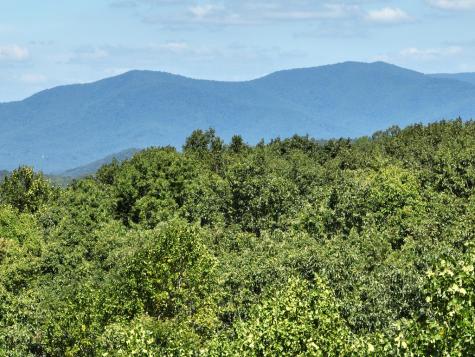 65 Street Andrews Way Ellijay GA 30536