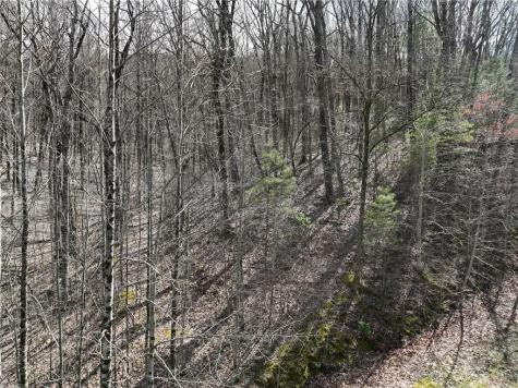 65 Street Andrews Way Ellijay GA 30536