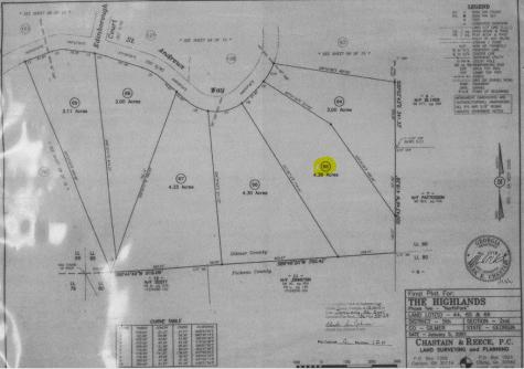 65 Street Andrews Way Ellijay GA 30536