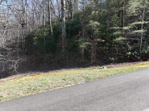 65 Street Andrews Way Ellijay GA 30536