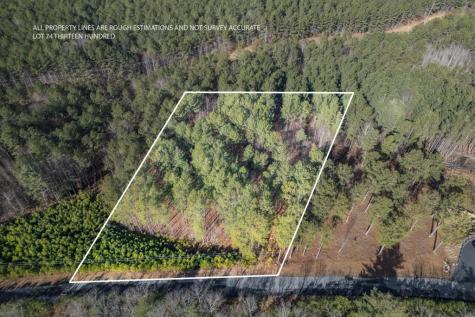 Lot 74 Thirteen Hundred Blairsville GA 30512
