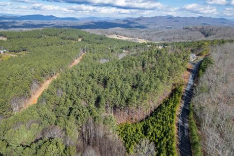 Lot 74 Thirteen Hundred Blairsville GA 30512