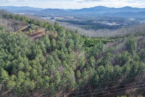 Lot 74 Thirteen Hundred Blairsville GA 30512