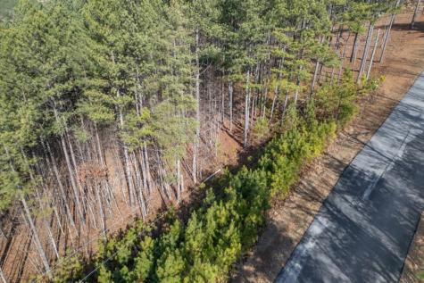 Lot 74 Thirteen Hundred Blairsville GA 30512