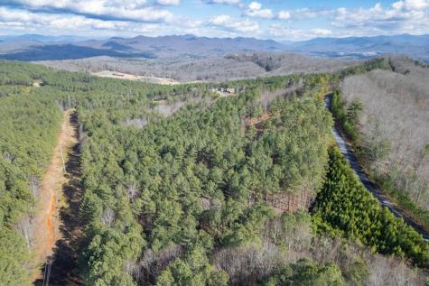 Lot 74 Thirteen Hundred Blairsville GA 30512