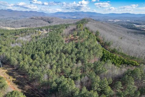 Lot 74 Thirteen Hundred Blairsville GA 30512