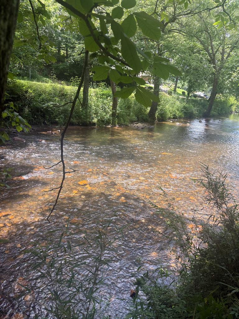 Lot 6 Creekfront Lane Hayesville NC 28904