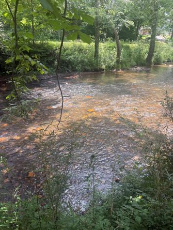 Lot 6 Creekfront Lane Hayesville NC 28904