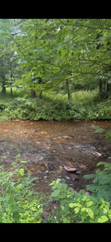 Lot 6 Creekfront Lane Hayesville NC 28904