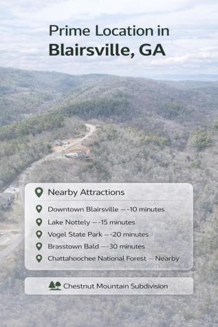 0 Gold Mine Knob Blairsville GA 30512