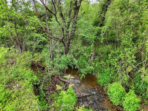 Tract Ii Shuler Road Blairsville GA 30512