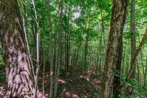 Lot 111c Puett Cove Estates Marble NC 28905