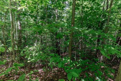 Lot 111c Puett Cove Estates Marble NC 28905