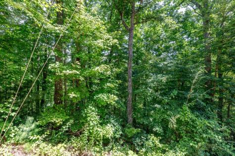 Lot 111c Puett Cove Estates Marble NC 28905
