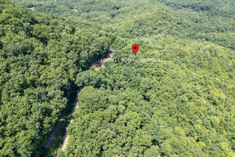 Lot 111c Puett Cove Estates Marble NC 28905