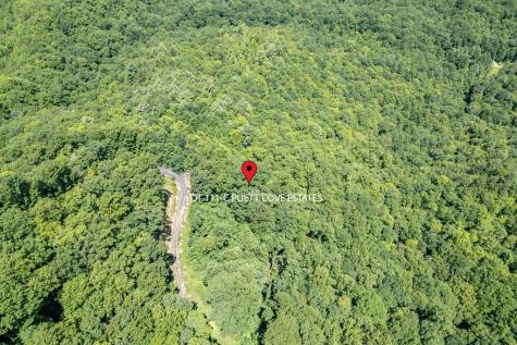 Lot 111c Puett Cove Estates Marble NC 28905